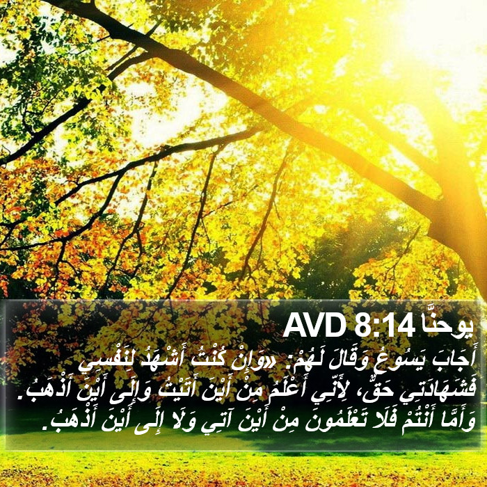يوحنَّا 8:14 AVD Bible Study