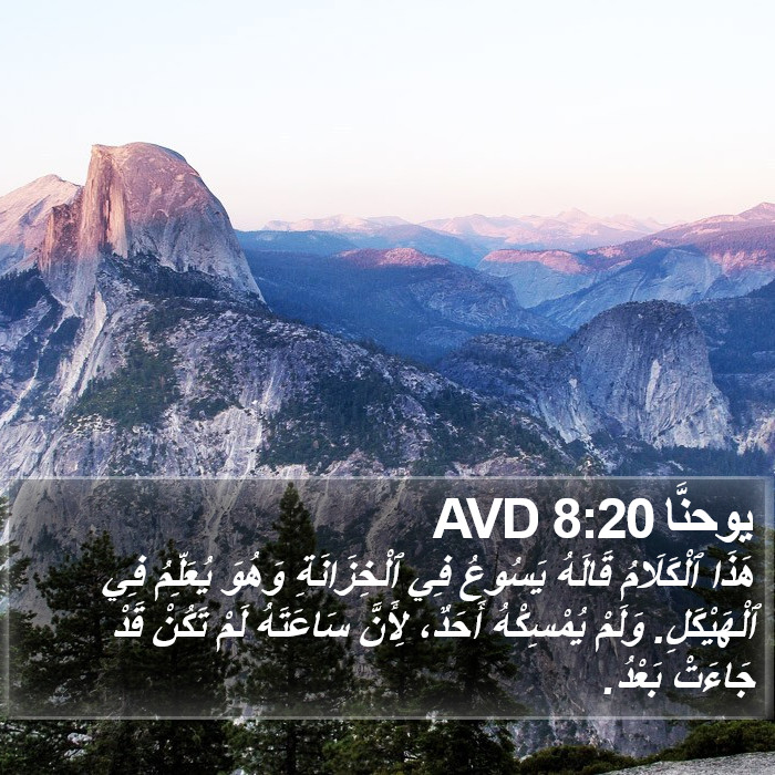 يوحنَّا 8:20 AVD Bible Study