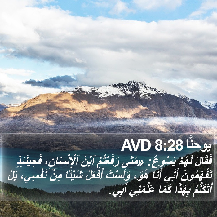 يوحنَّا 8:28 AVD Bible Study