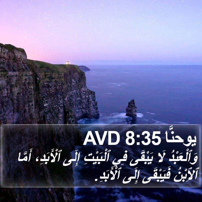 يوحنَّا 8:35 AVD Bible Study