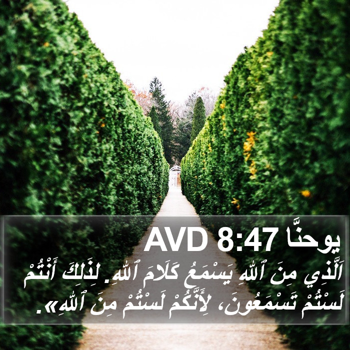 يوحنَّا 8:47 AVD Bible Study