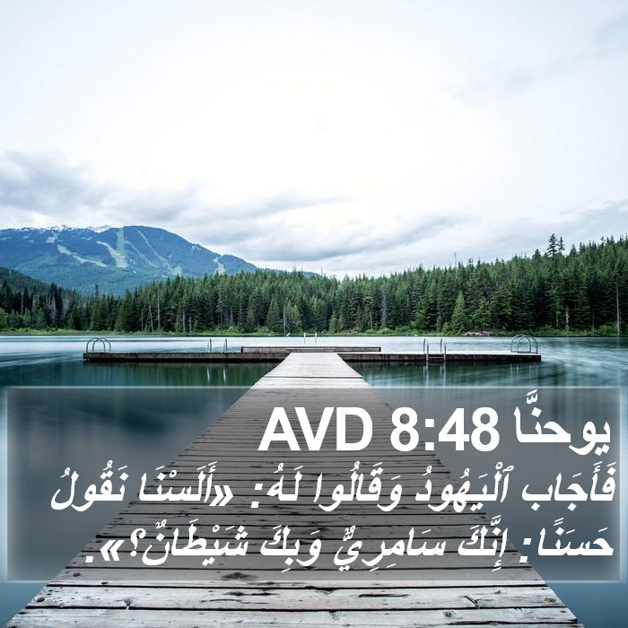 يوحنَّا 8:48 AVD Bible Study