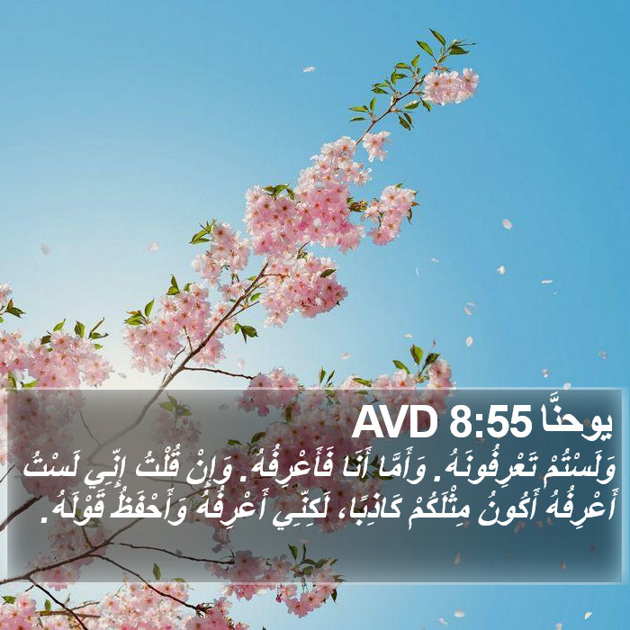 يوحنَّا 8:55 AVD Bible Study