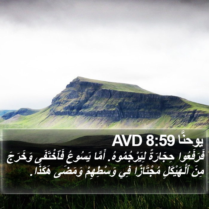 يوحنَّا 8:59 AVD Bible Study
