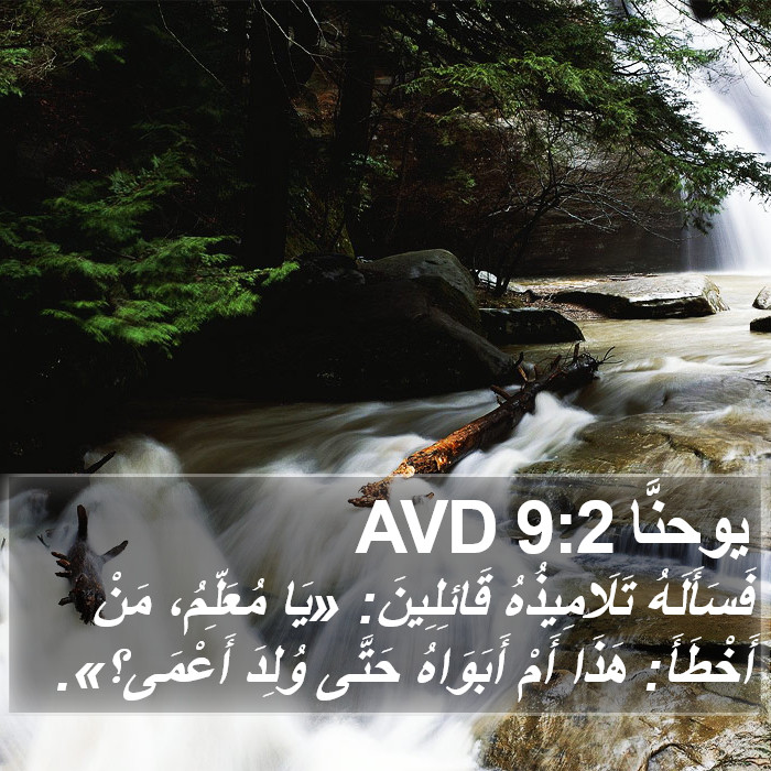 يوحنَّا 9:2 AVD Bible Study