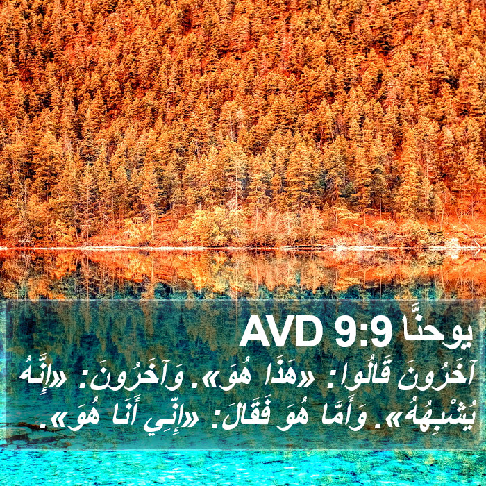 يوحنَّا 9:9 AVD Bible Study
