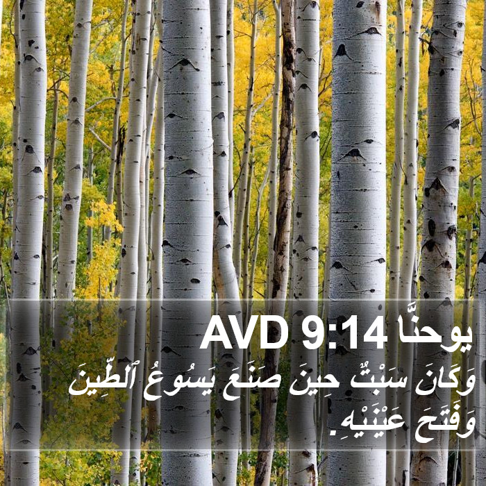 يوحنَّا 9:14 AVD Bible Study