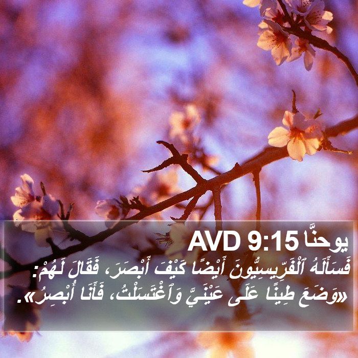 يوحنَّا 9:15 AVD Bible Study