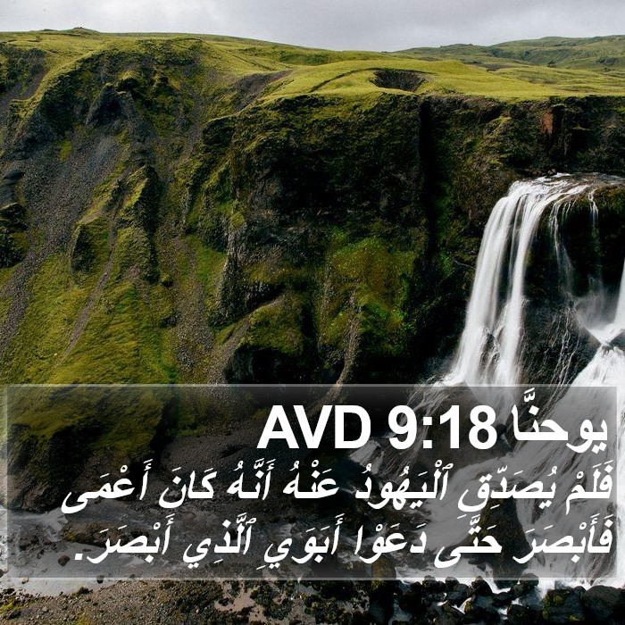 يوحنَّا 9:18 AVD Bible Study