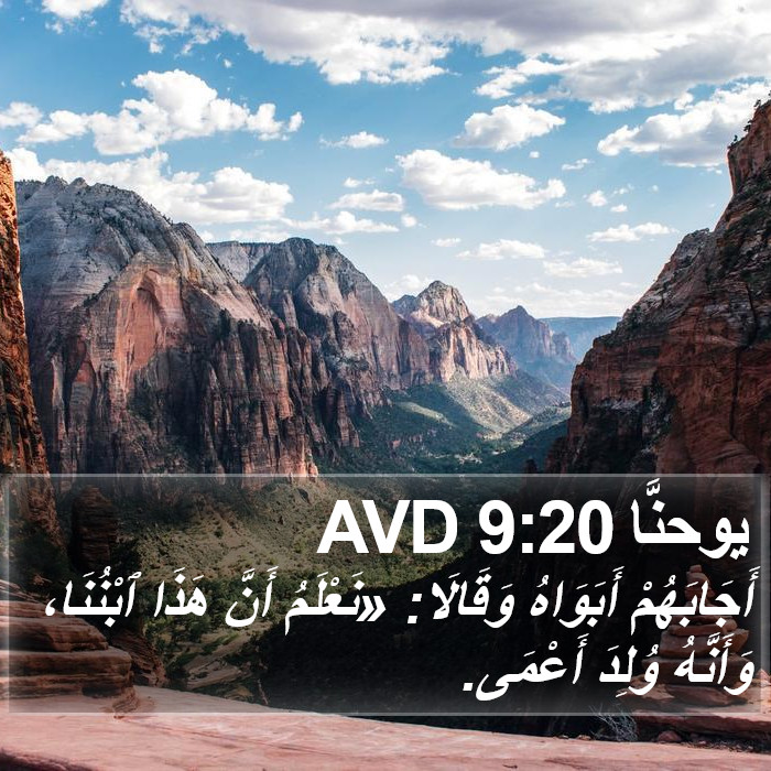 يوحنَّا 9:20 AVD Bible Study