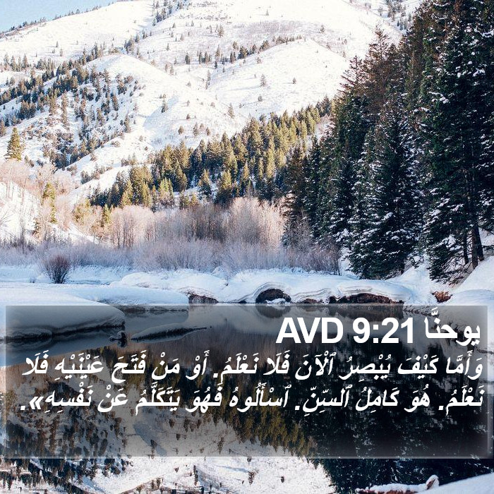 يوحنَّا 9:21 AVD Bible Study