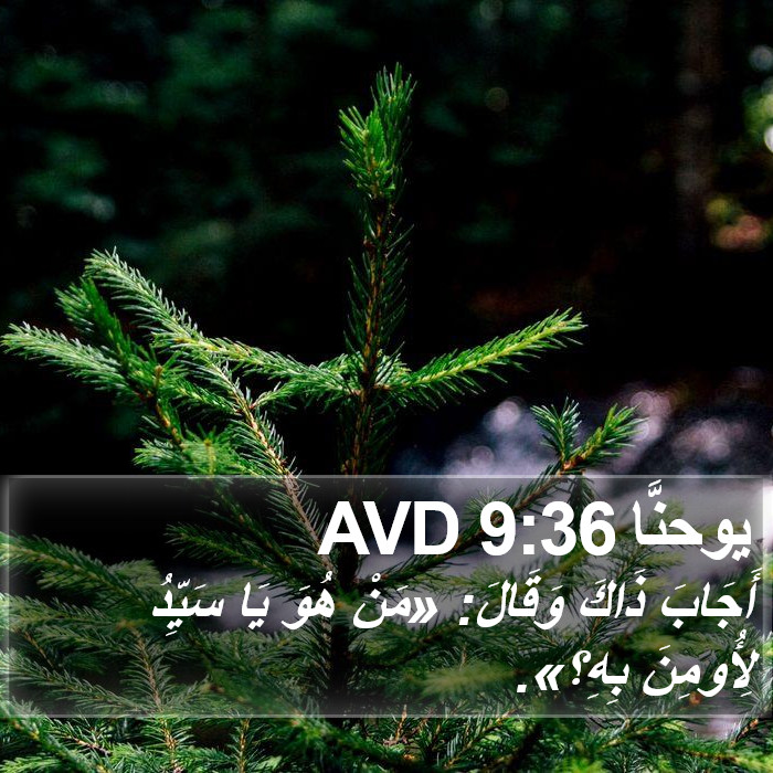 يوحنَّا 9:36 AVD Bible Study