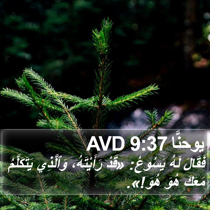يوحنَّا 9:37 AVD Bible Study