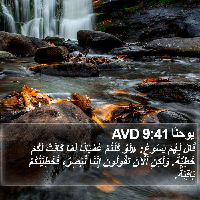 يوحنَّا 9:41 AVD Bible Study