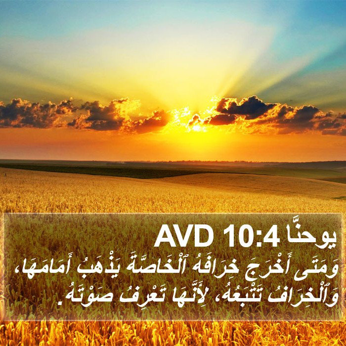 يوحنَّا 10:4 AVD Bible Study
