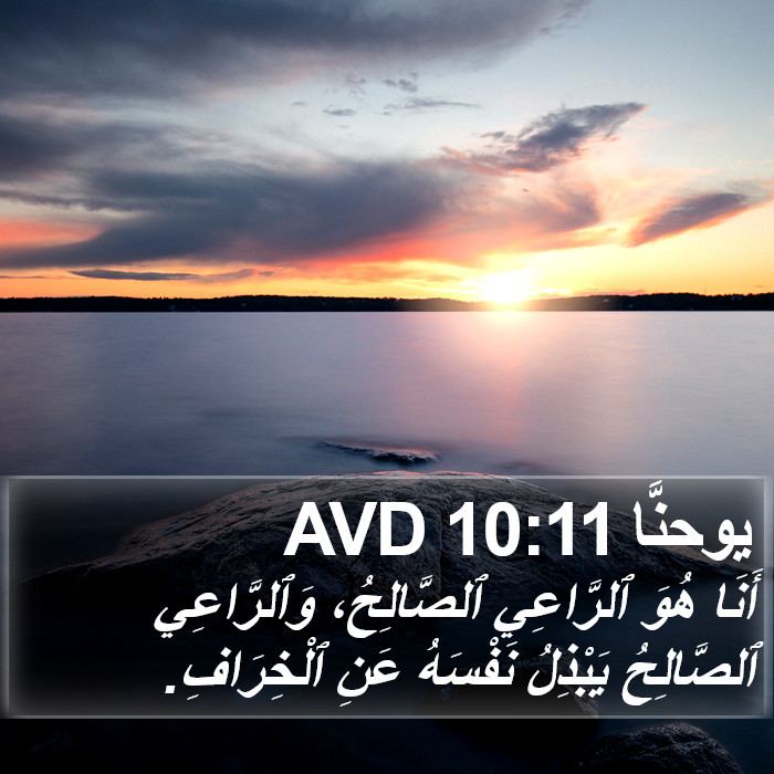 يوحنَّا 10:11 AVD Bible Study