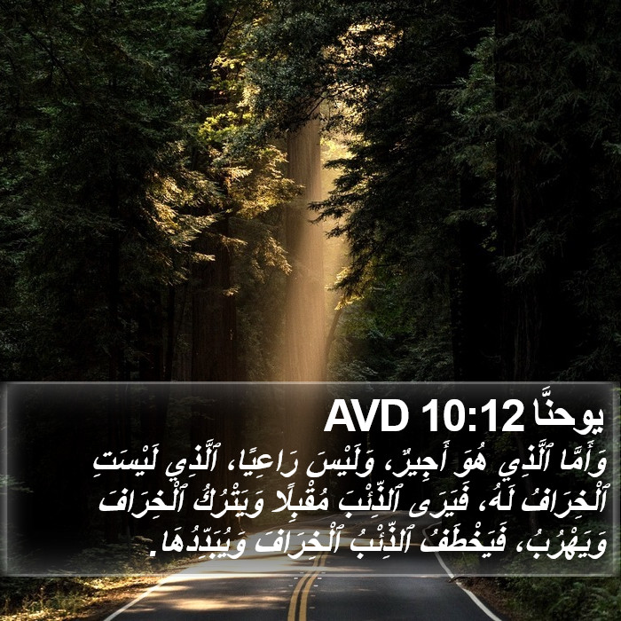 يوحنَّا 10:12 AVD Bible Study