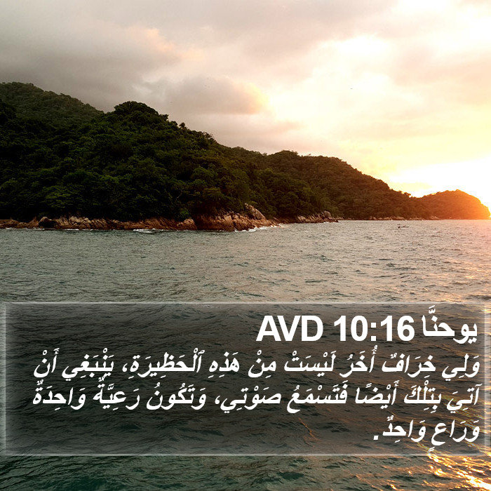 يوحنَّا 10:16 AVD Bible Study