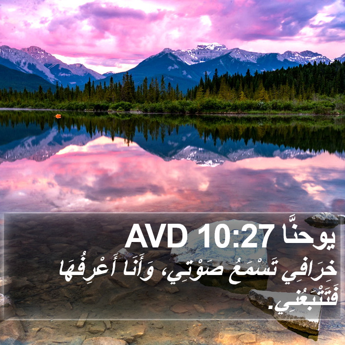 يوحنَّا 10:27 AVD Bible Study