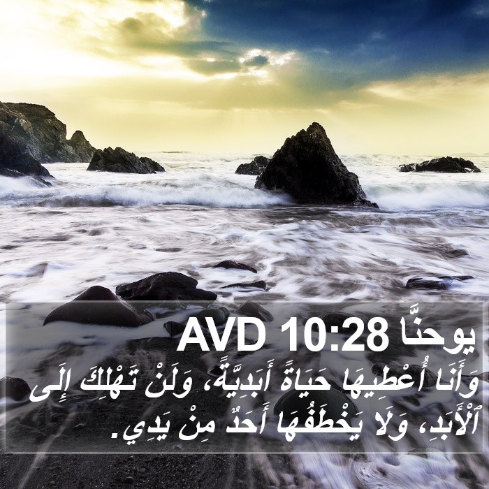 يوحنَّا 10:28 AVD Bible Study
