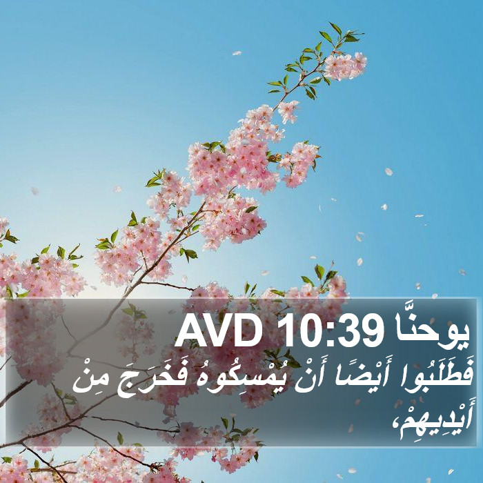 يوحنَّا 10:39 AVD Bible Study