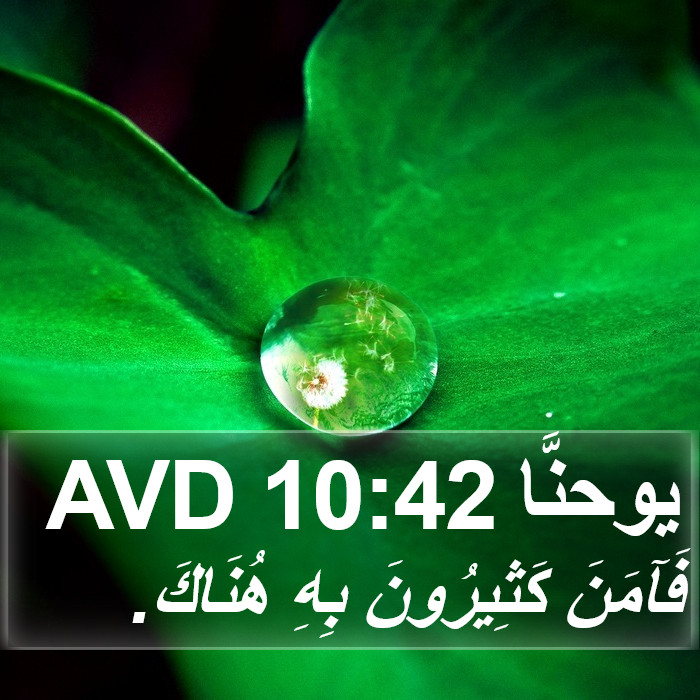 يوحنَّا 10:42 AVD Bible Study