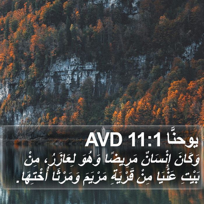 يوحنَّا 11:1 AVD Bible Study