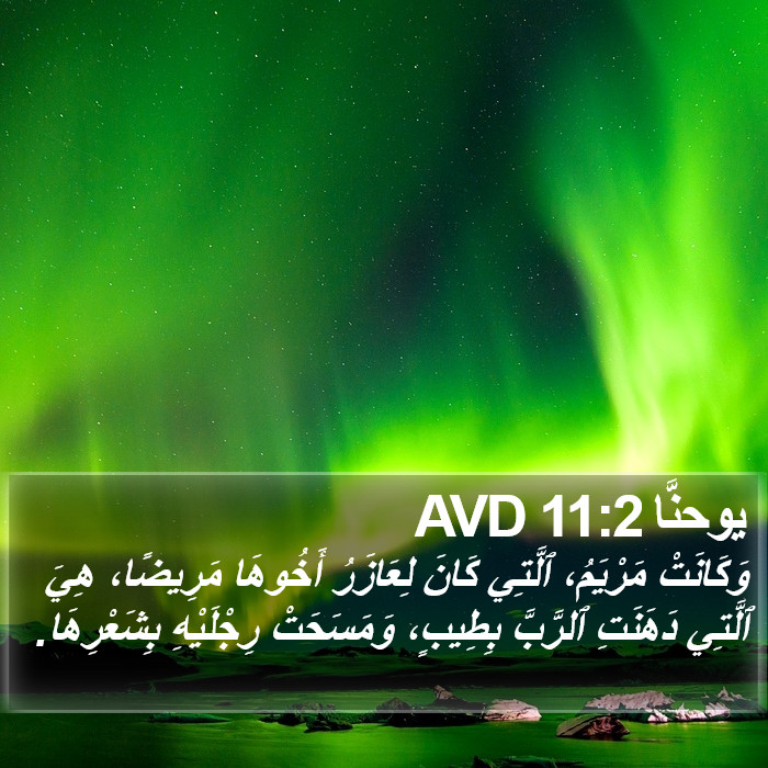 يوحنَّا 11:2 AVD Bible Study