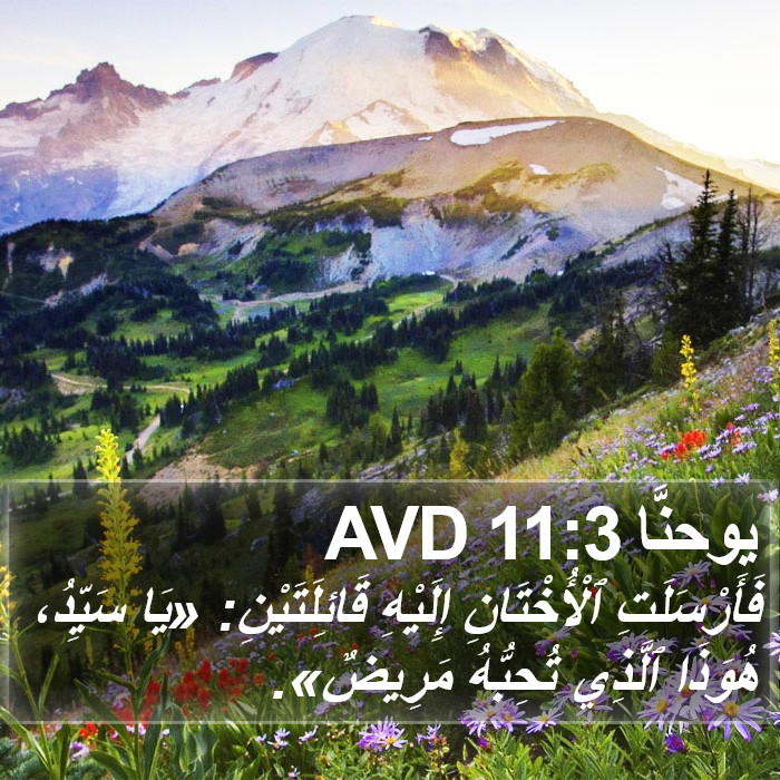 يوحنَّا 11:3 AVD Bible Study