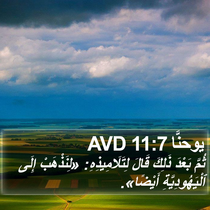 يوحنَّا 11:7 AVD Bible Study