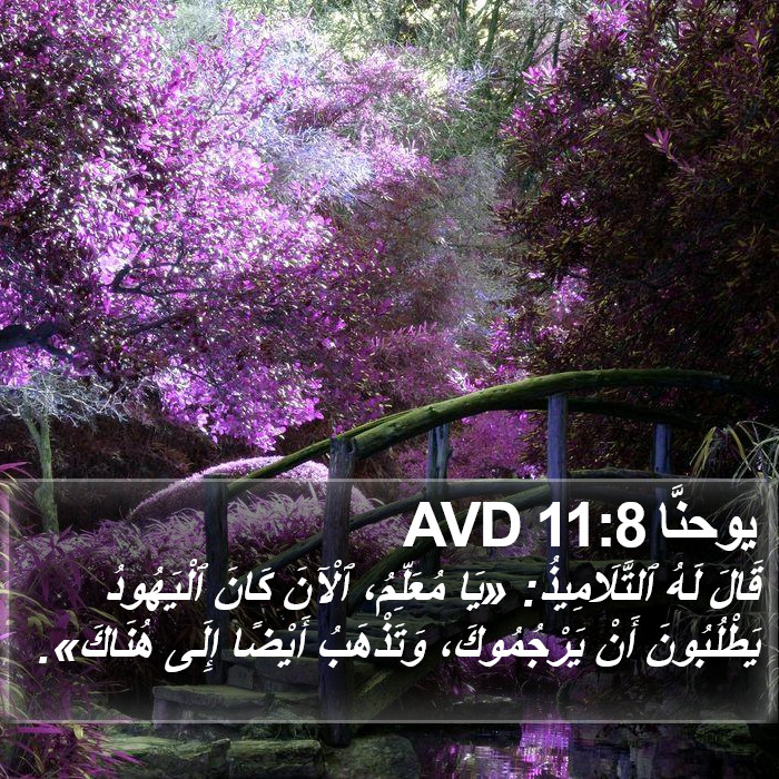 يوحنَّا 11:8 AVD Bible Study