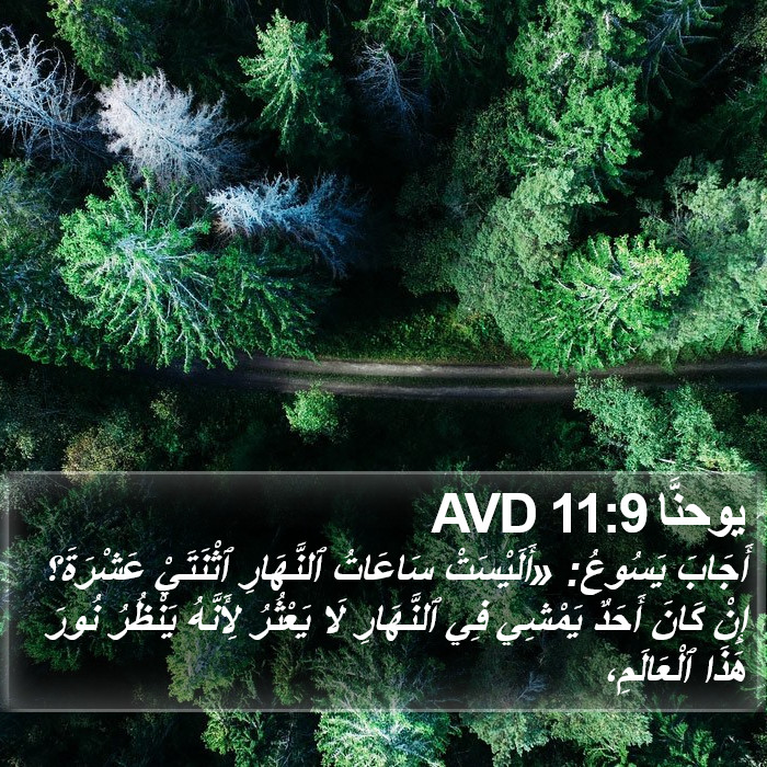 يوحنَّا 11:9 AVD Bible Study