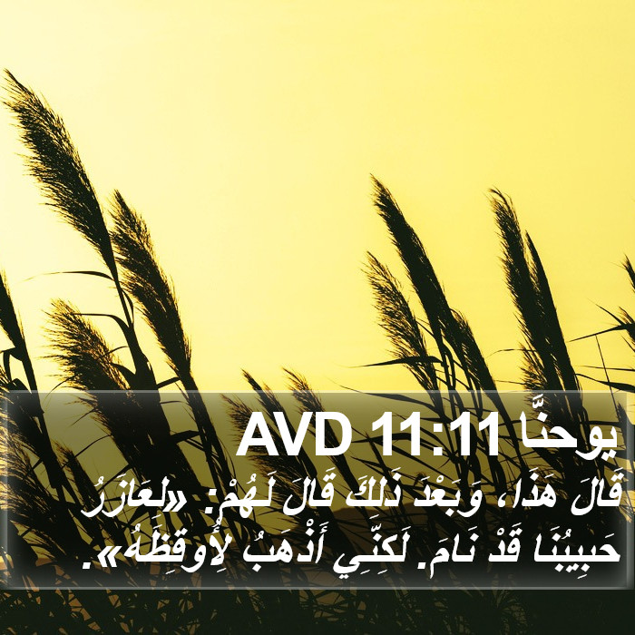 يوحنَّا 11:11 AVD Bible Study