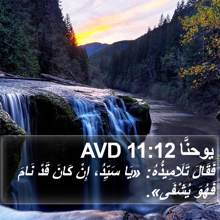 يوحنَّا 11:12 AVD Bible Study