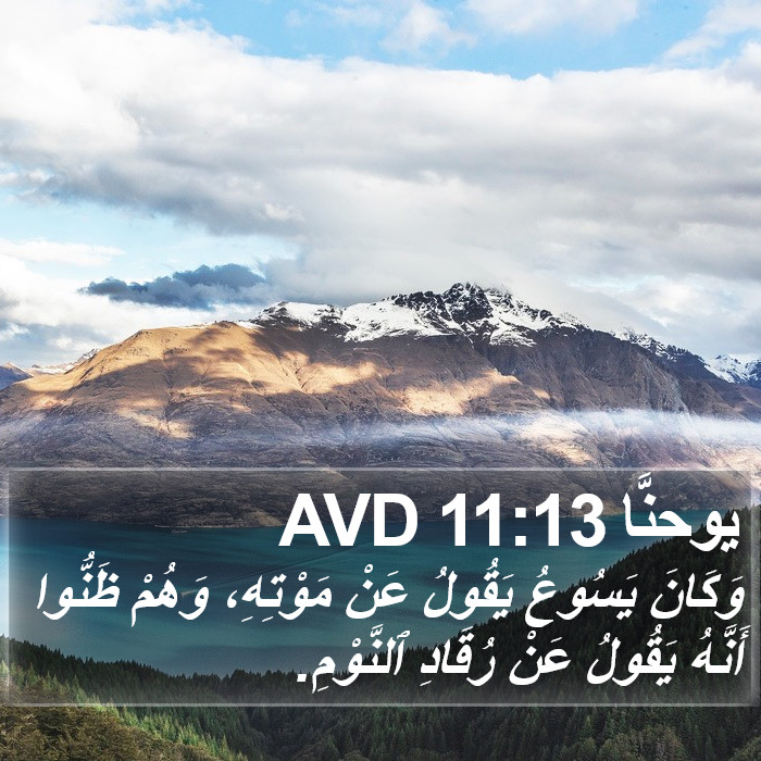 يوحنَّا 11:13 AVD Bible Study