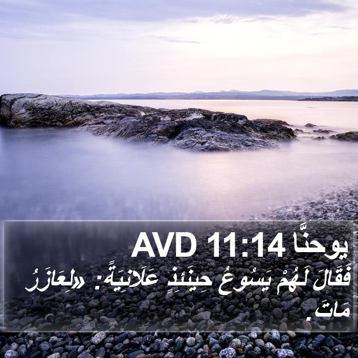 يوحنَّا 11:14 AVD Bible Study