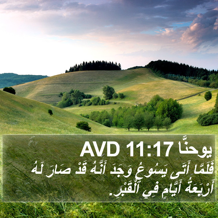 يوحنَّا 11:17 AVD Bible Study