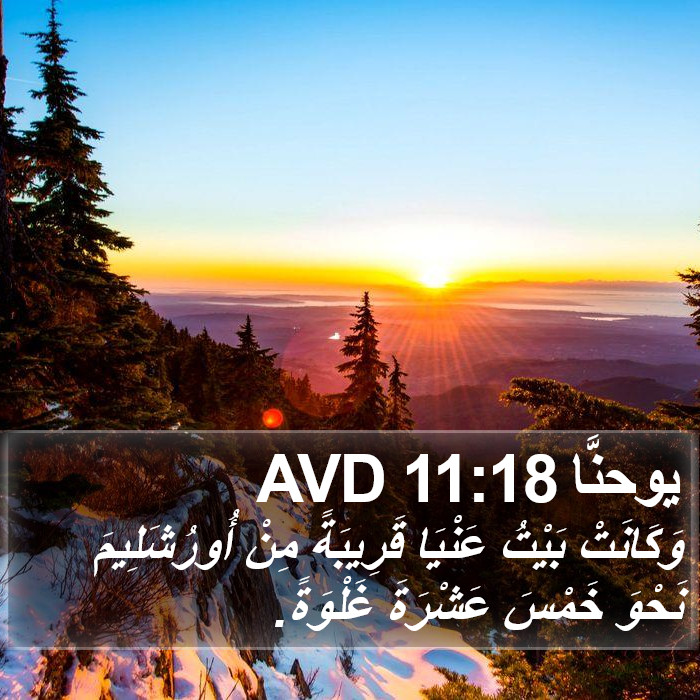 يوحنَّا 11:18 AVD Bible Study