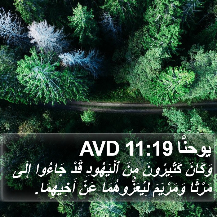 يوحنَّا 11:19 AVD Bible Study