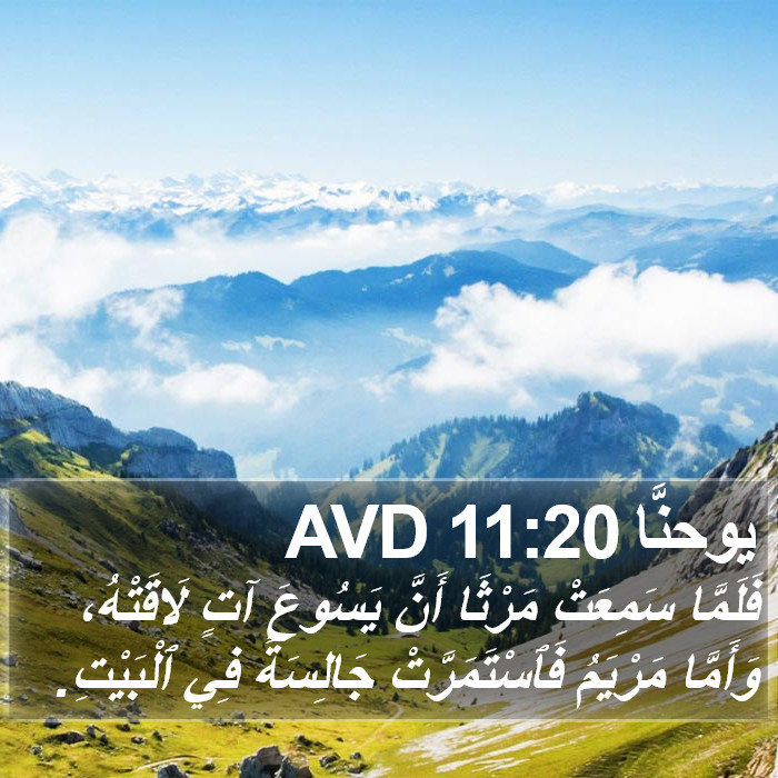 يوحنَّا 11:20 AVD Bible Study