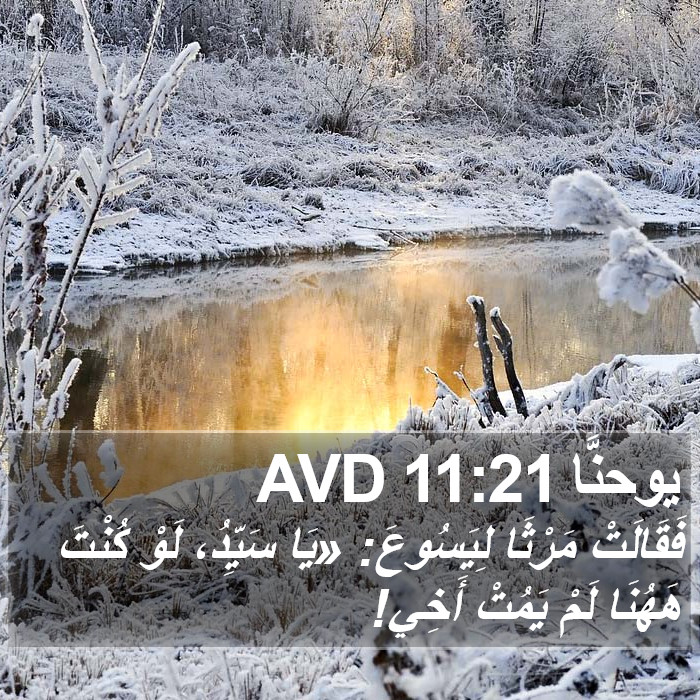 يوحنَّا 11:21 AVD Bible Study