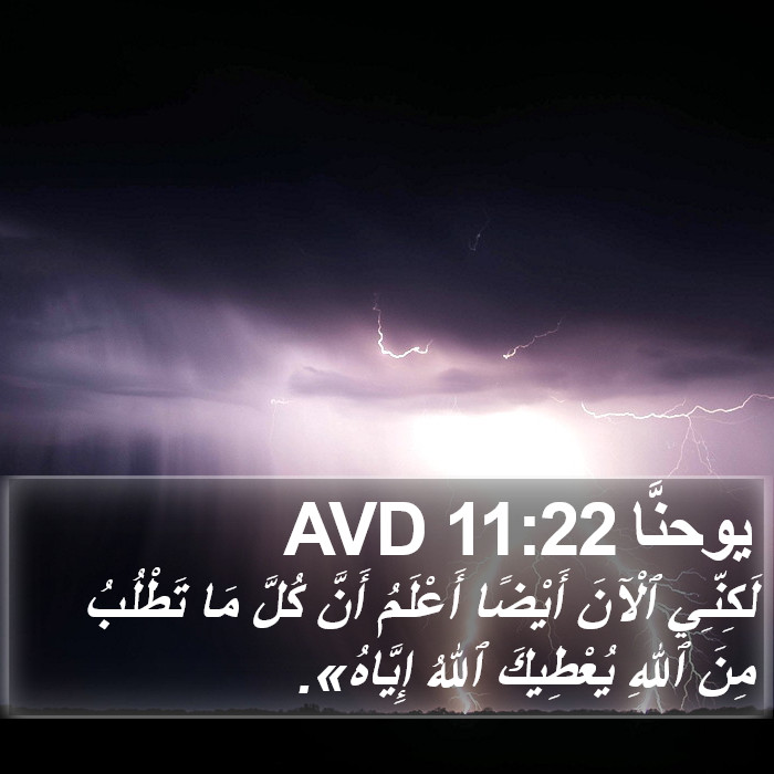 يوحنَّا 11:22 AVD Bible Study