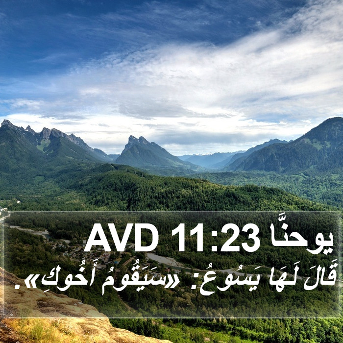 يوحنَّا 11:23 AVD Bible Study