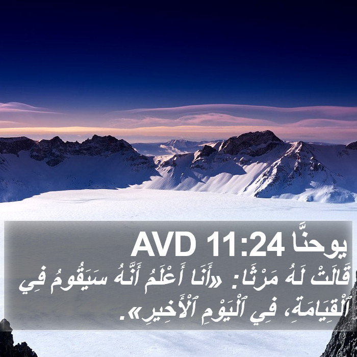 يوحنَّا 11:24 AVD Bible Study