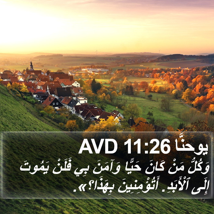 يوحنَّا 11:26 AVD Bible Study