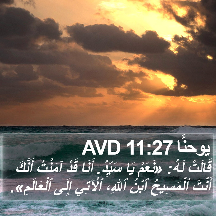 يوحنَّا 11:27 AVD Bible Study