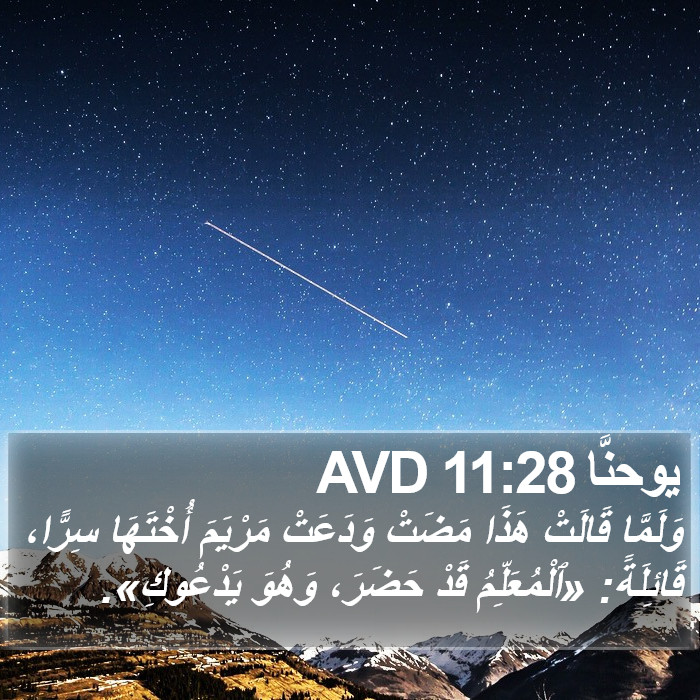 يوحنَّا 11:28 AVD Bible Study