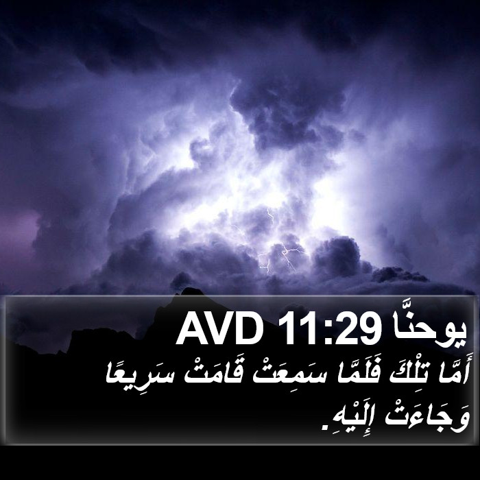 يوحنَّا 11:29 AVD Bible Study