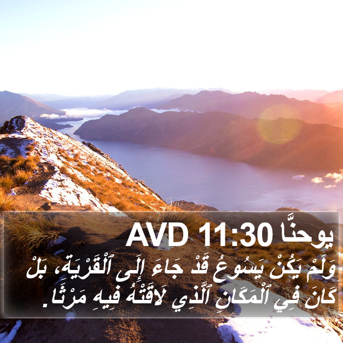 يوحنَّا 11:30 AVD Bible Study