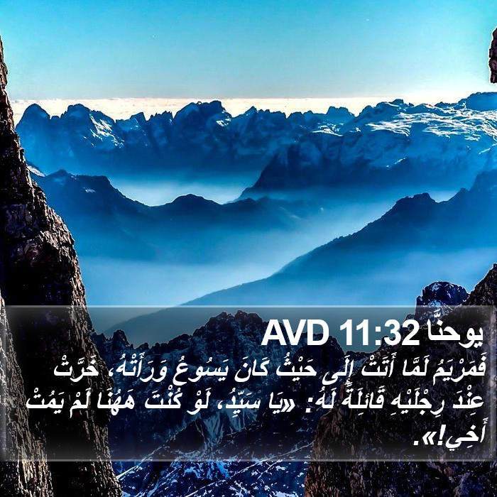 يوحنَّا 11:32 AVD Bible Study